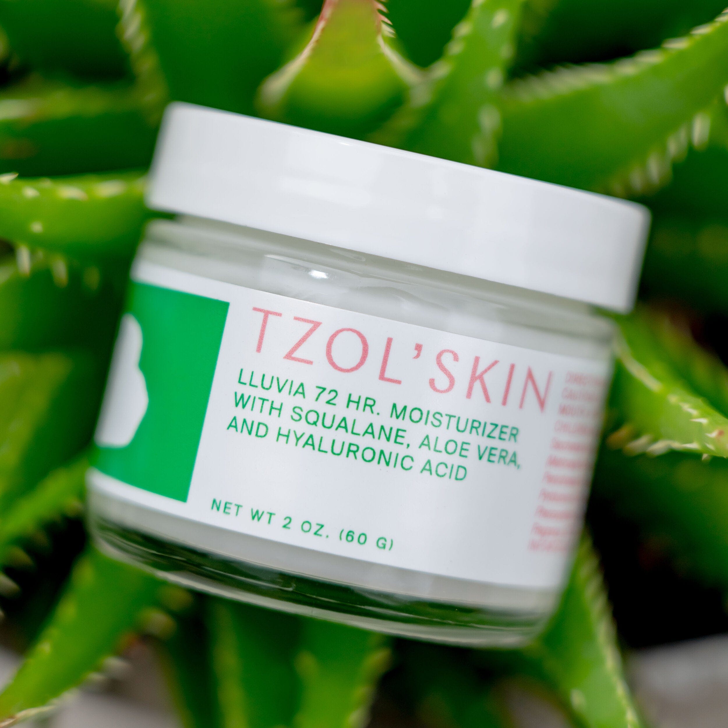 TZOL’SKIN Lluvia 72HR Moisturizer with squalane, aloe vera and hyaluronic acid, hydrating face cream for long-lasting moisture, dry skin care and facial hydration, 2 oz skincare jar surrounded by fresh green aloe vera leaves