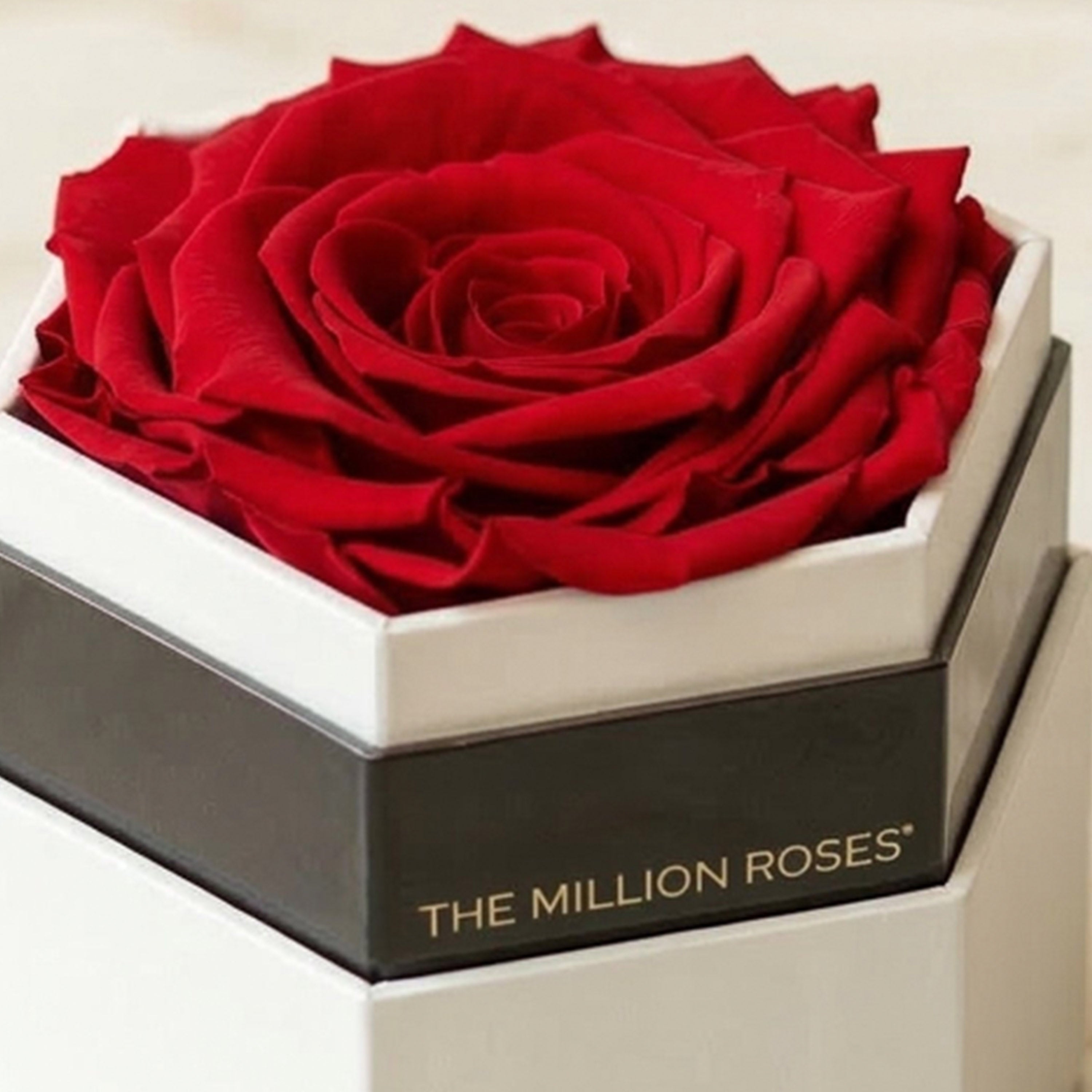 One in a Million™ White Hexagon Box | Red Rose