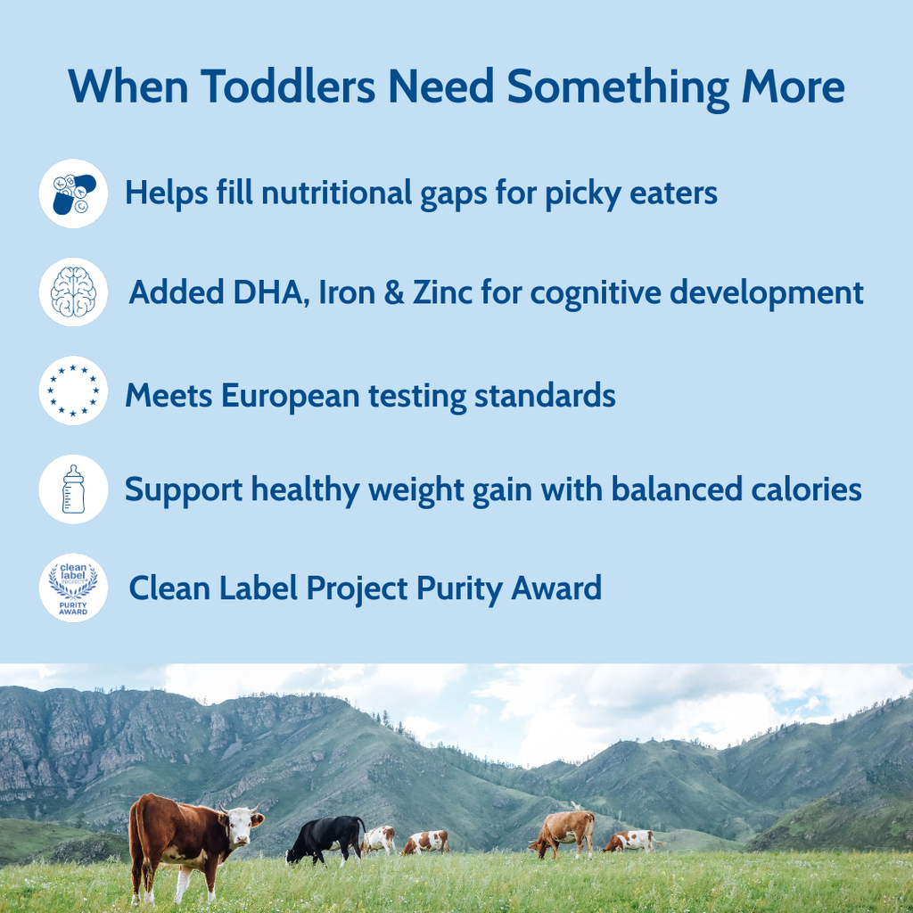 Holle Cow Milk Toddler Drink 6-Tin Bundle