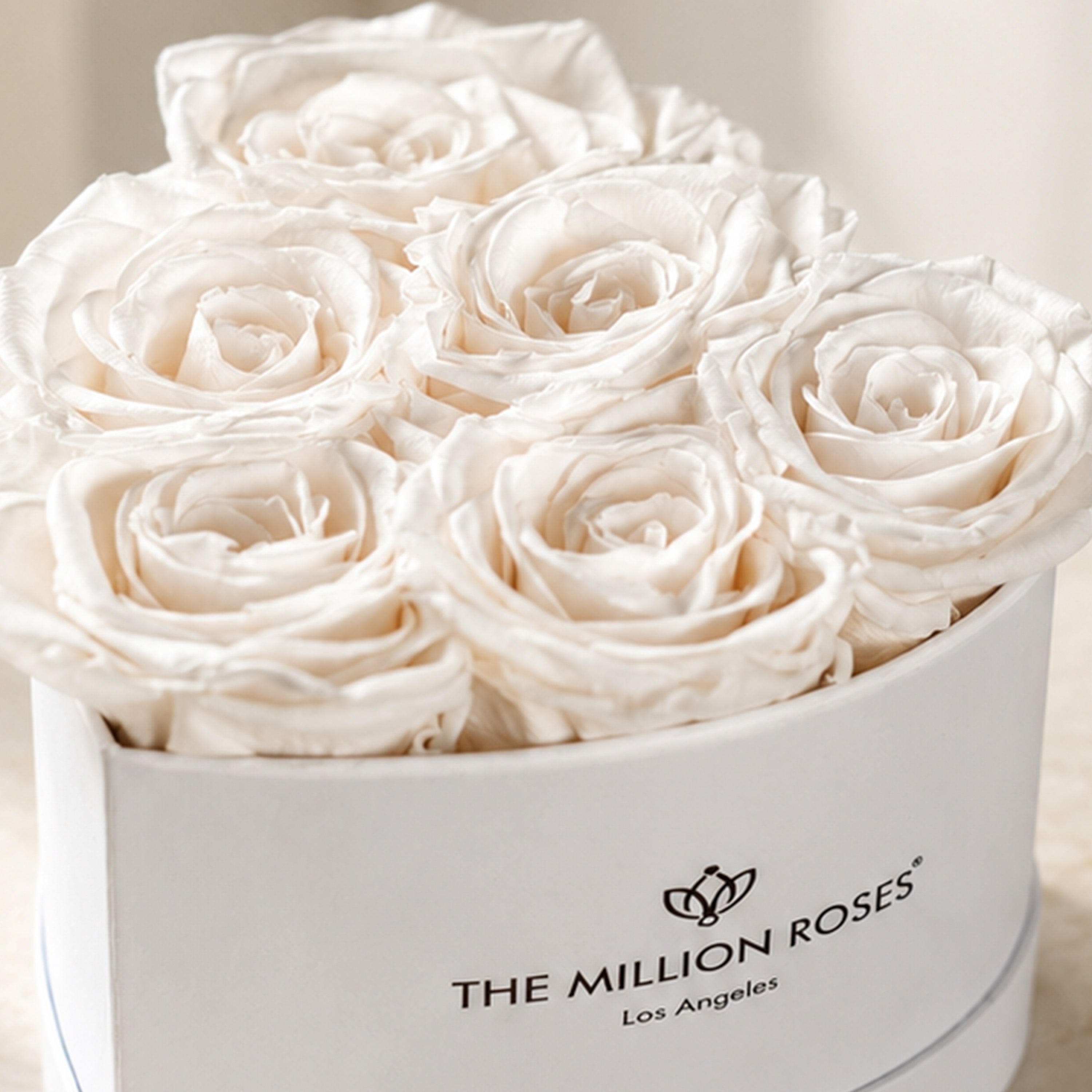 Baby Heart White Box | White Roses
