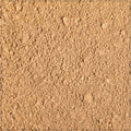 Amla Powder