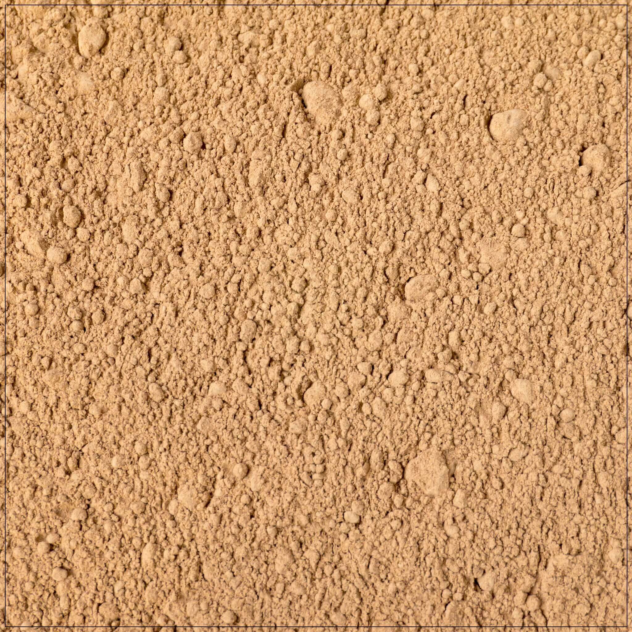 Amla Powder