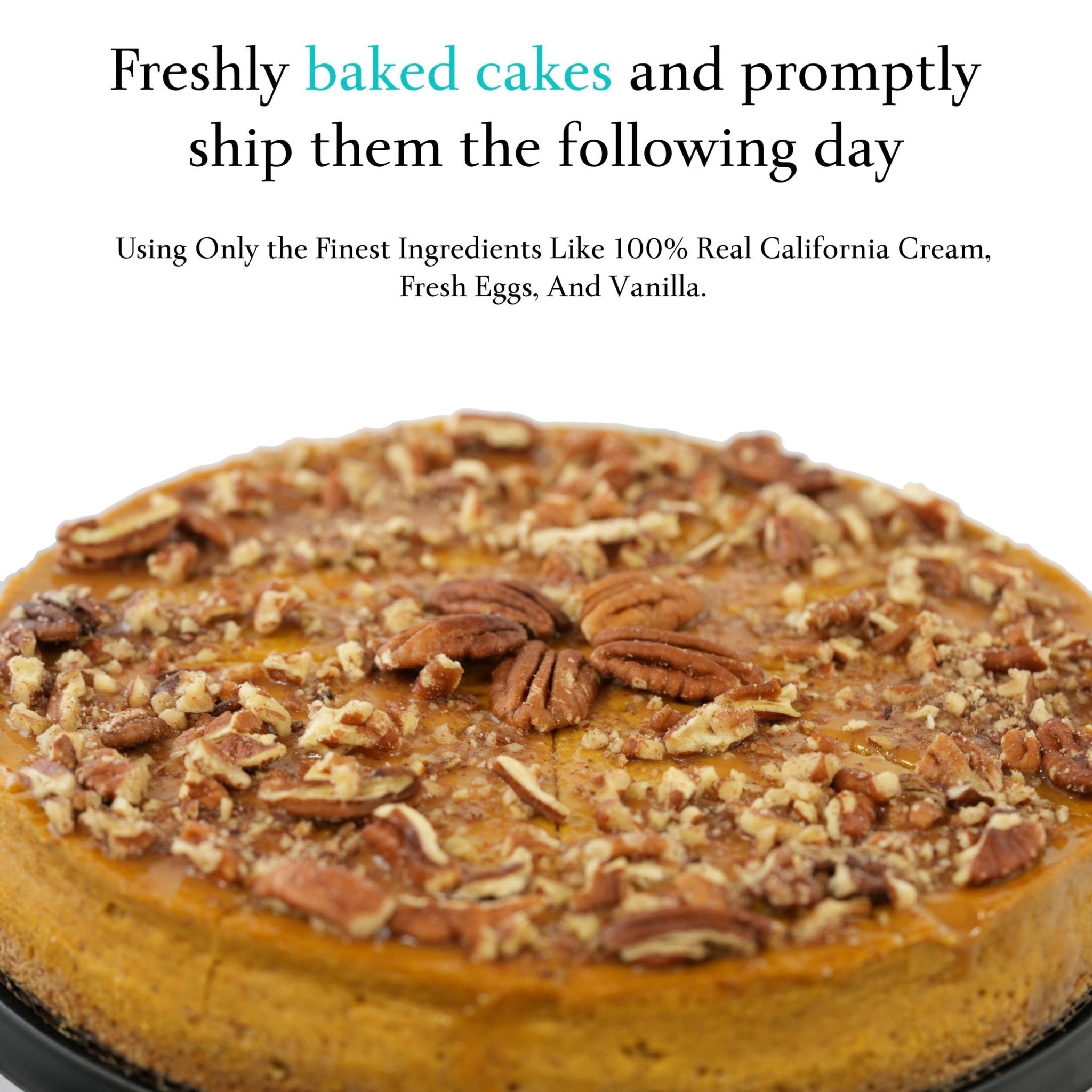 Andy Anand Sugar Free Pumpkin Pecan Cheesecake: Made with Pecans, Fresh Eggs & Cream, Soft Moist, Best Cheese Cake For Anniversary Celebrations & Dessert Lovers (2.4 lbs)