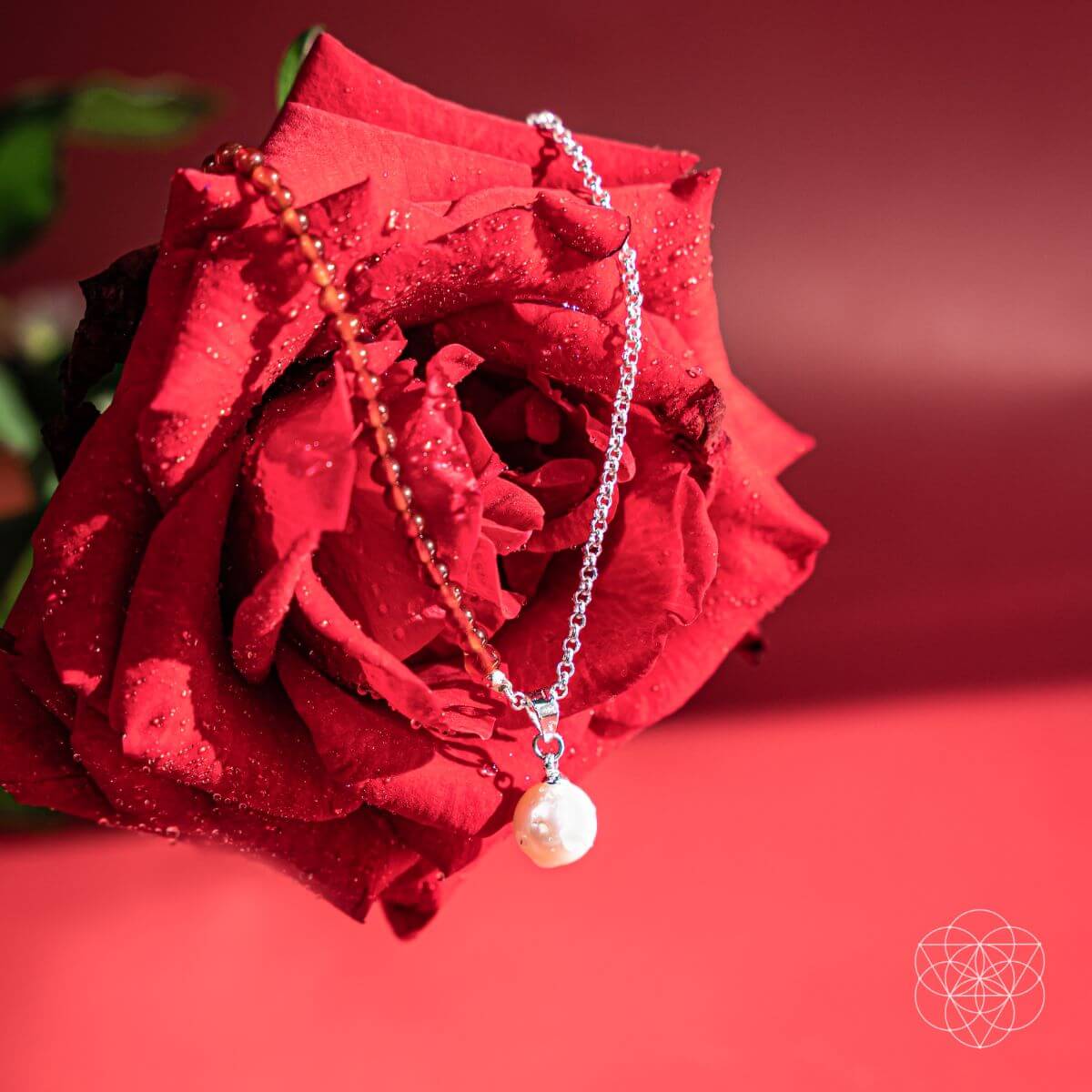 Pearl necklace draped over a red rose on a red background. Freshwater pearl pendants, including a red beaded necklace and a silver pendant with a red carnelian.