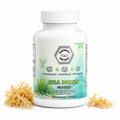 Sea Moss