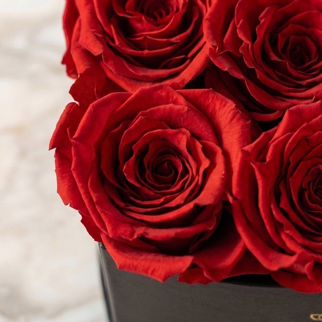Baby Heart Black Box | Red Roses
