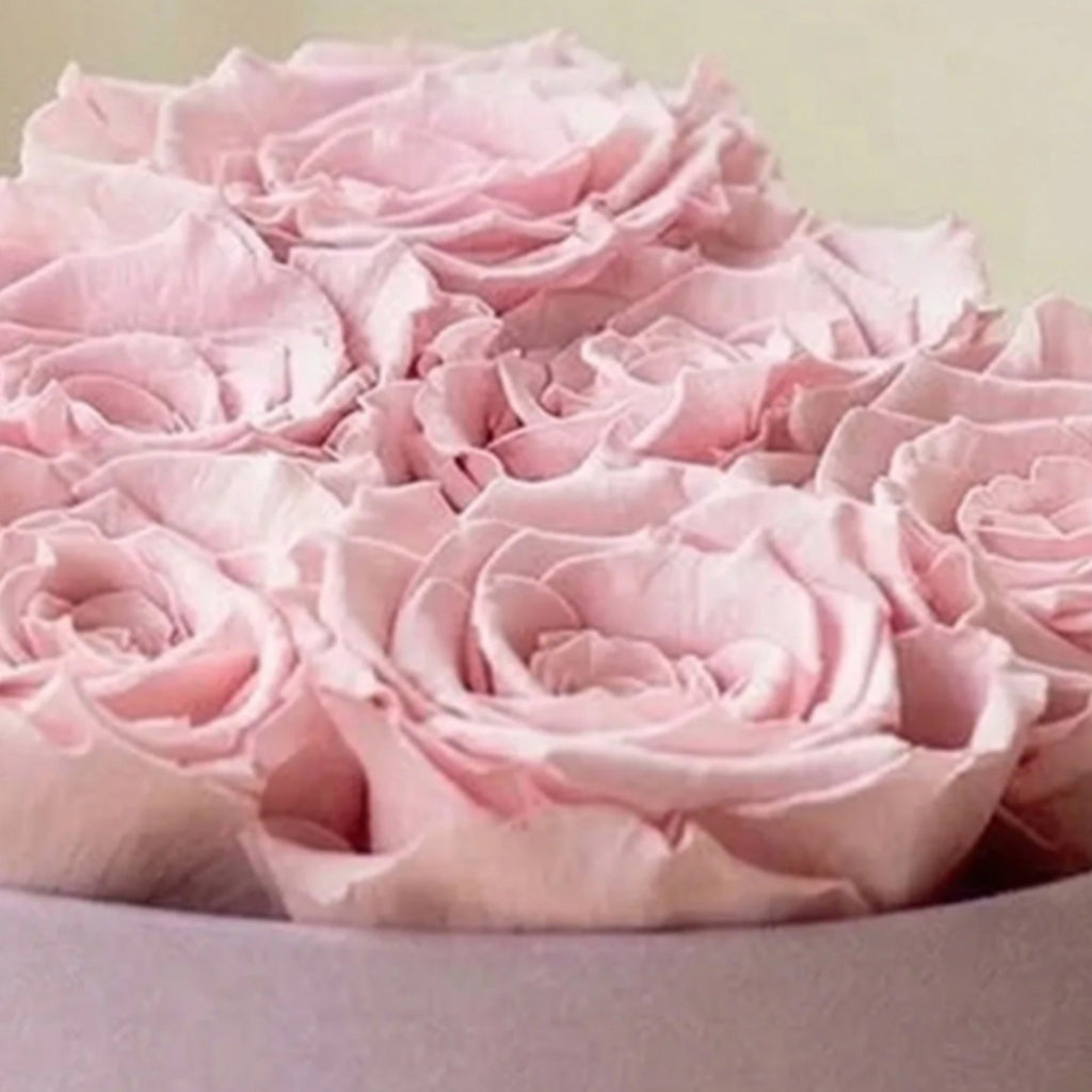 Baby Heart Light Pink Box | Light Pink Roses