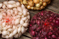 Mixed Red White & Yellow Onion Sets 1 Lb. Non-GMO
