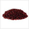 Dried Barberries (Zereshk) – Tart & Natural | No Added Sugar