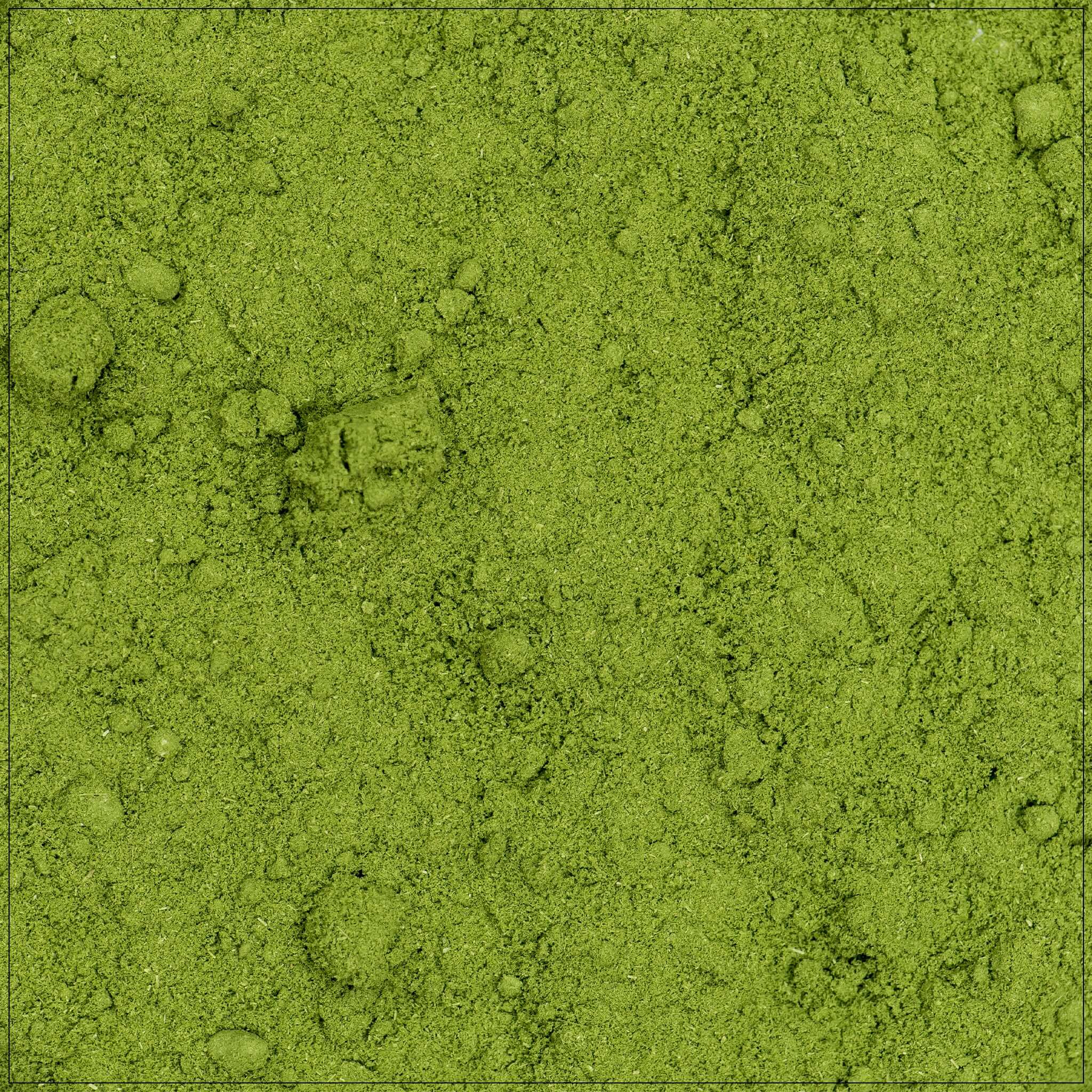 Barley Grass Powder