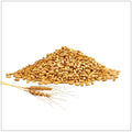 Barley Whole