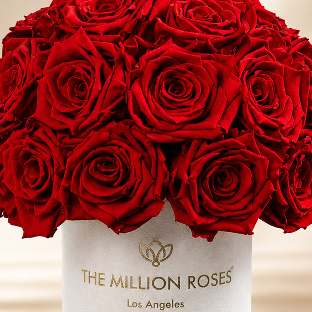Essence Beige Suede Superdome Box | Red Roses