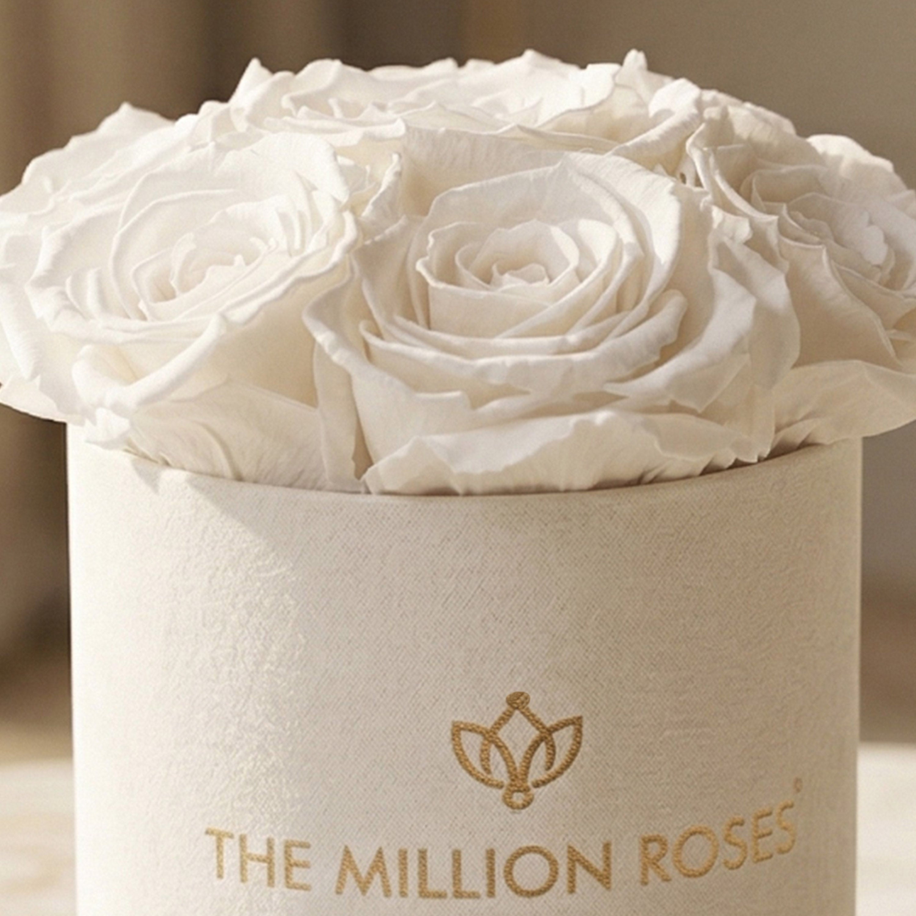 Essence Beige Suede Box | White Roses