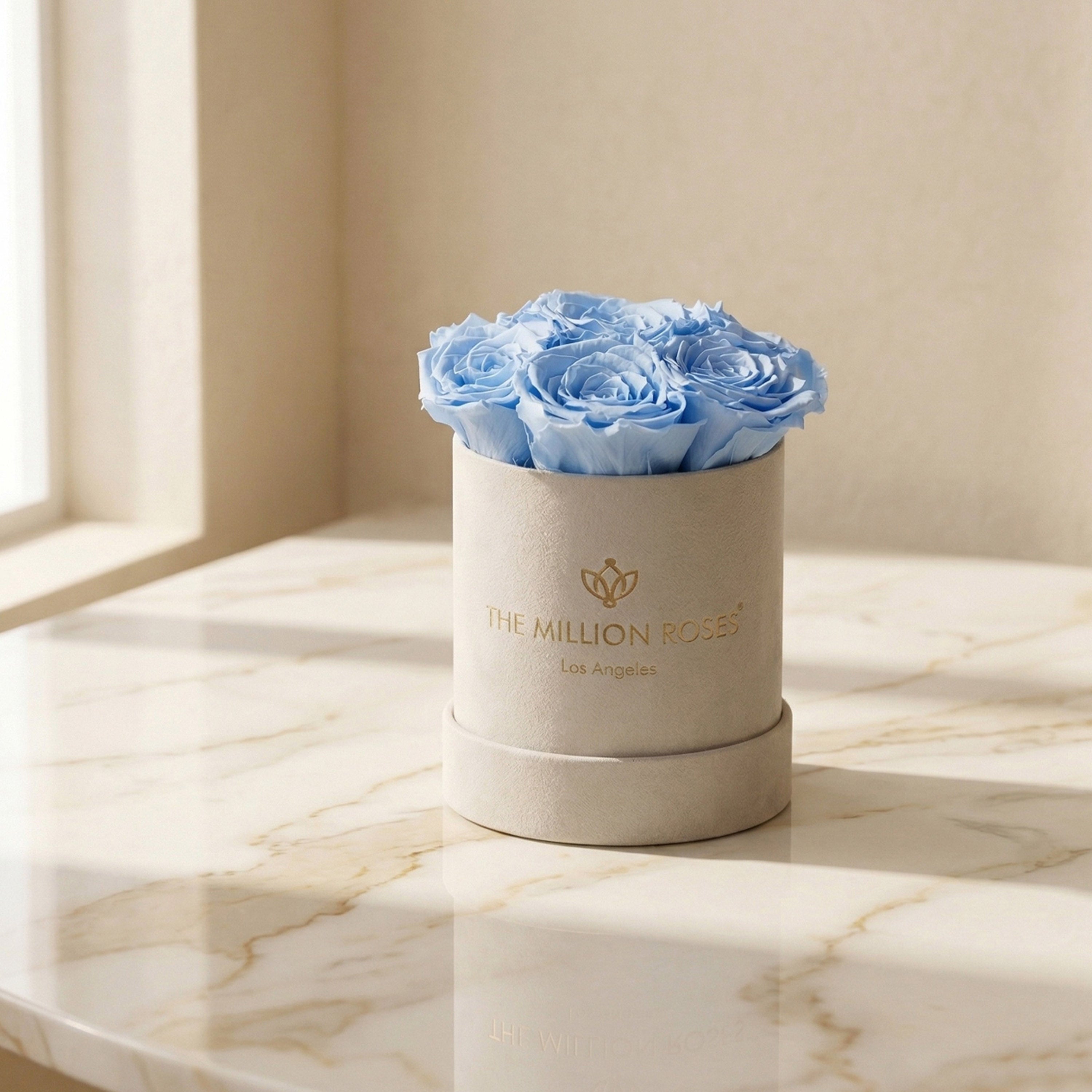 Essence Beige Suede Box | Light Blue Roses