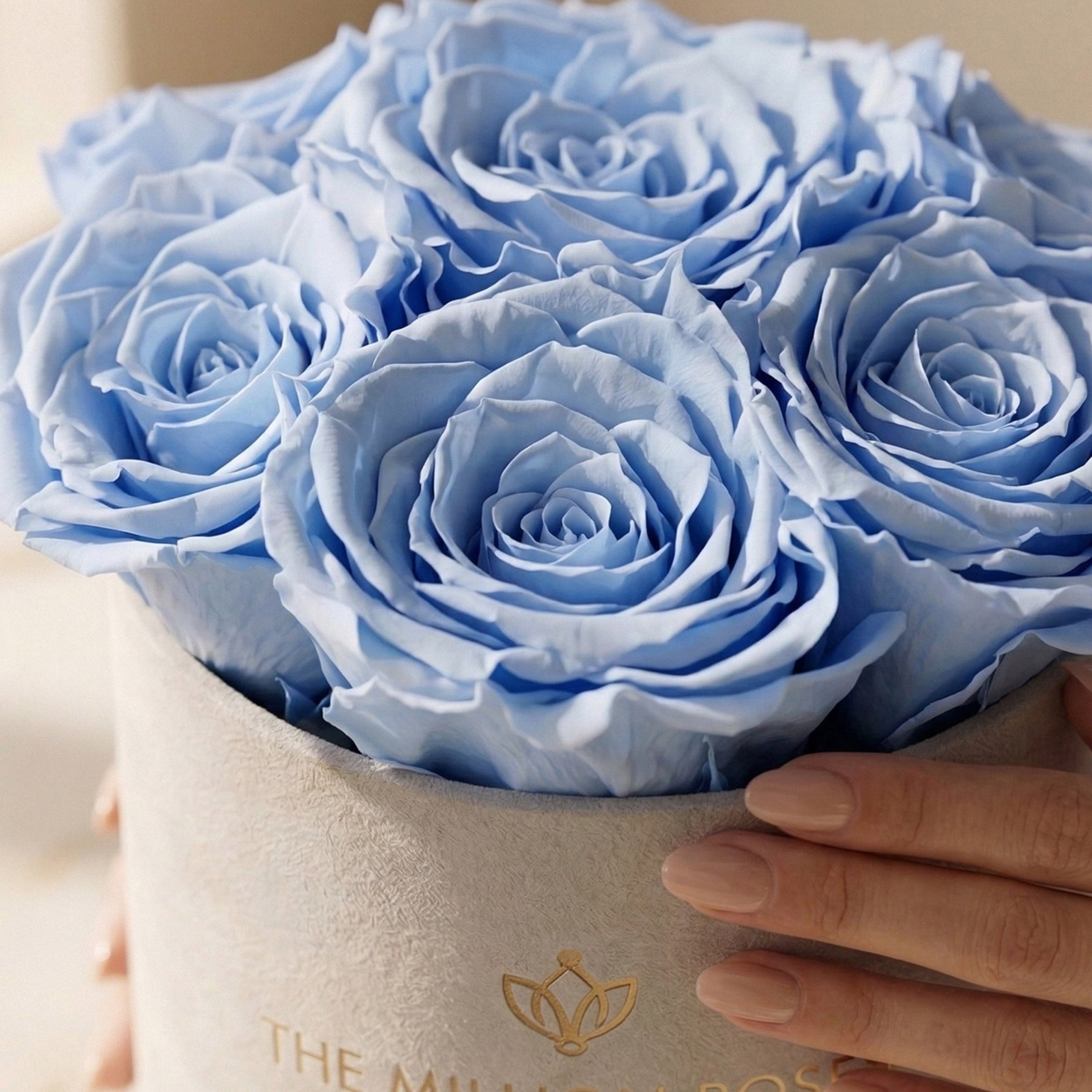 Essence Beige Suede Box | Light Blue Roses