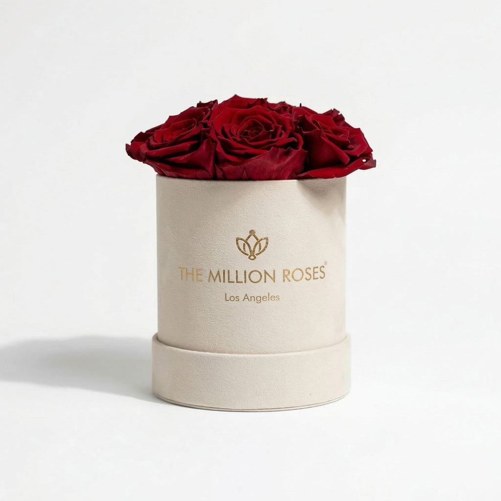 Essence Beige Suede Box | Red Roses