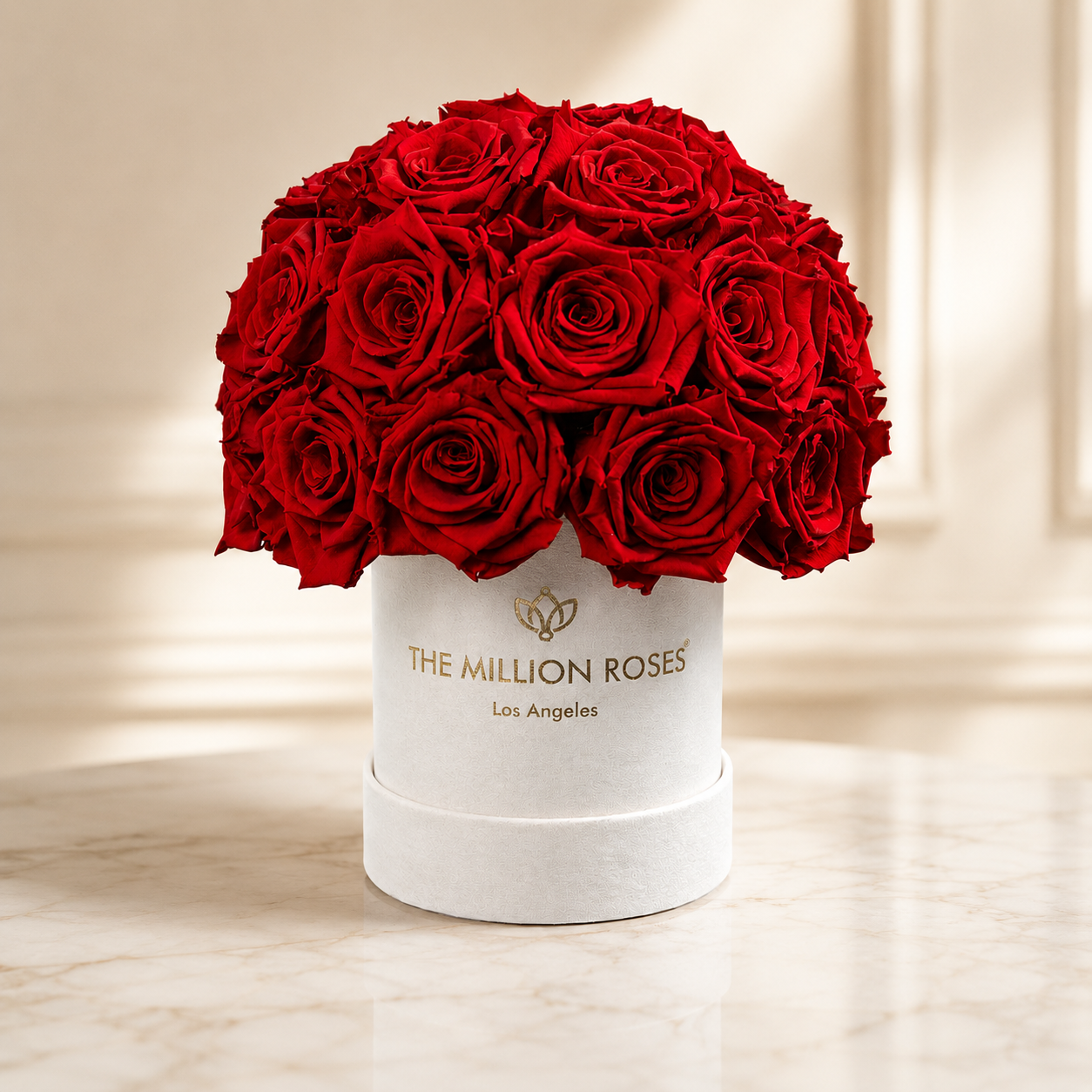 Essence Beige Suede Superdome Box | Red Roses