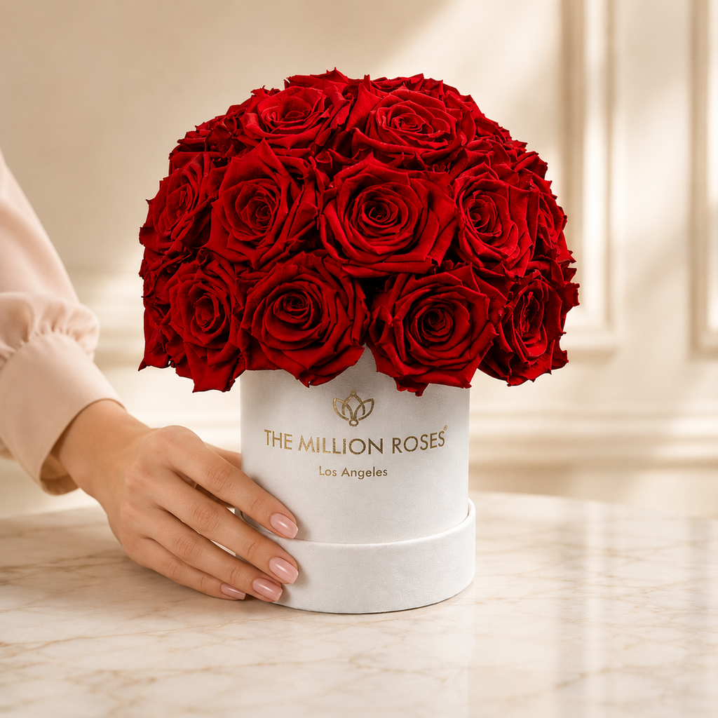 Essence Beige Suede Superdome Box | Red Roses