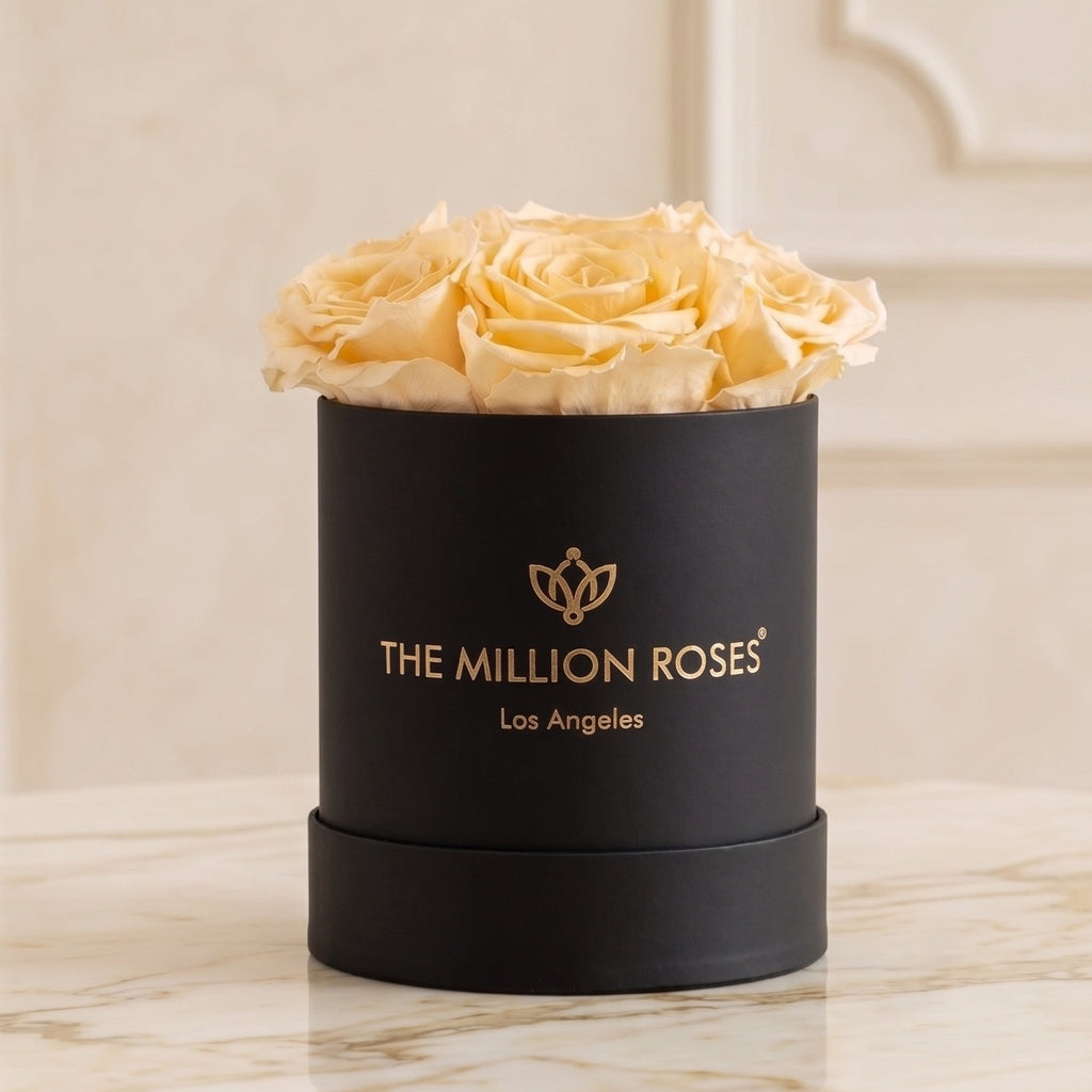 Essence Black Box | Ivory Roses