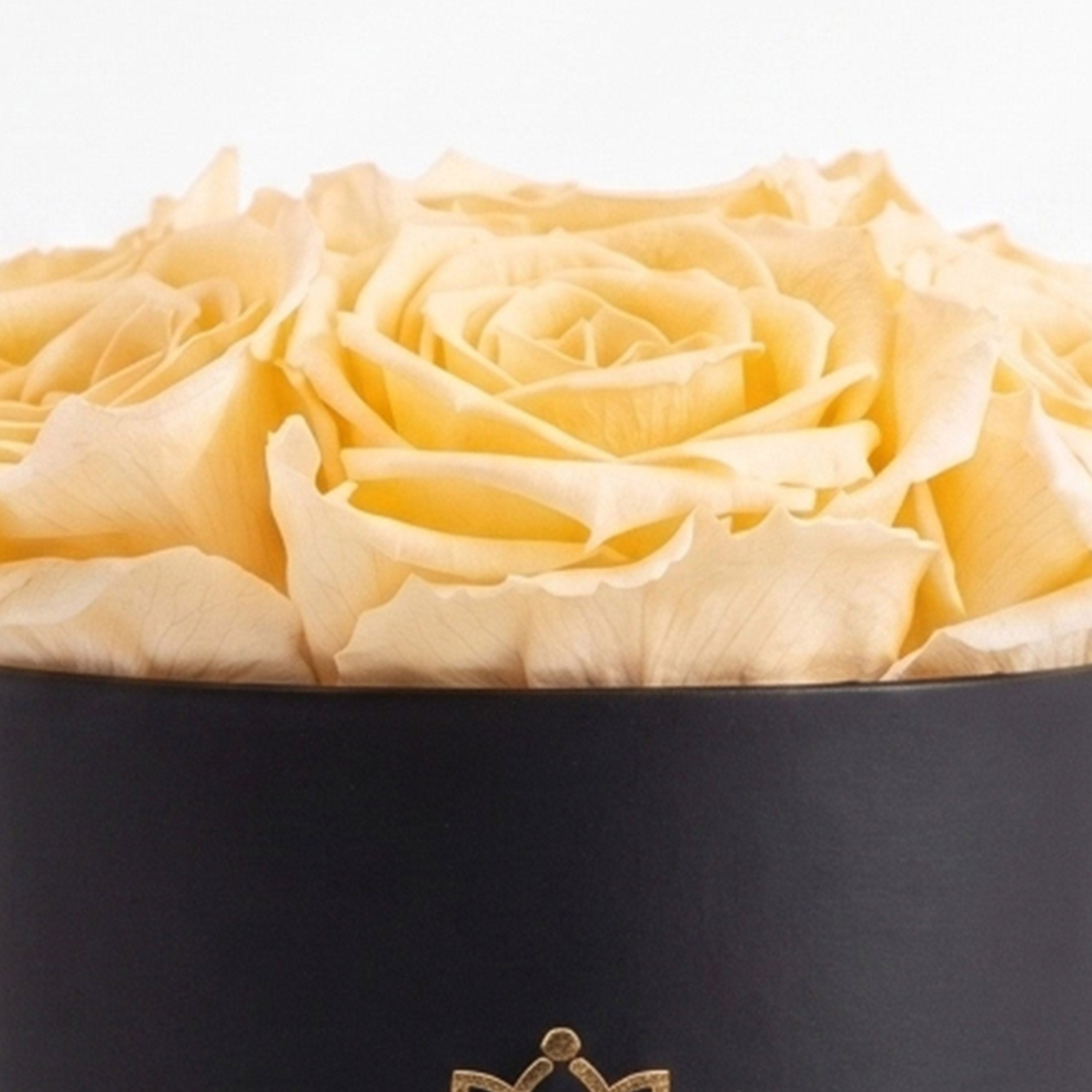 Essence Black Box | Ivory Roses