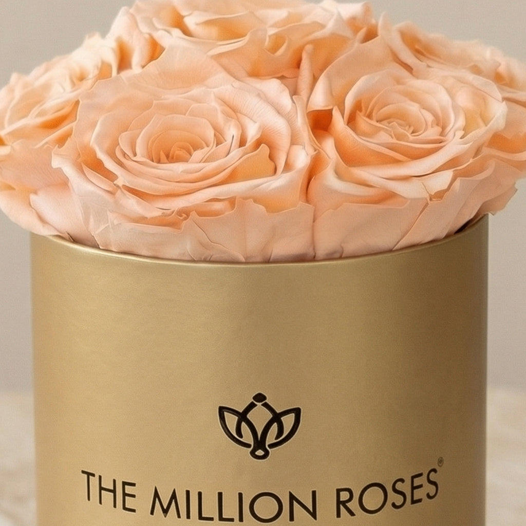 Essence Gold Box | Peach Roses