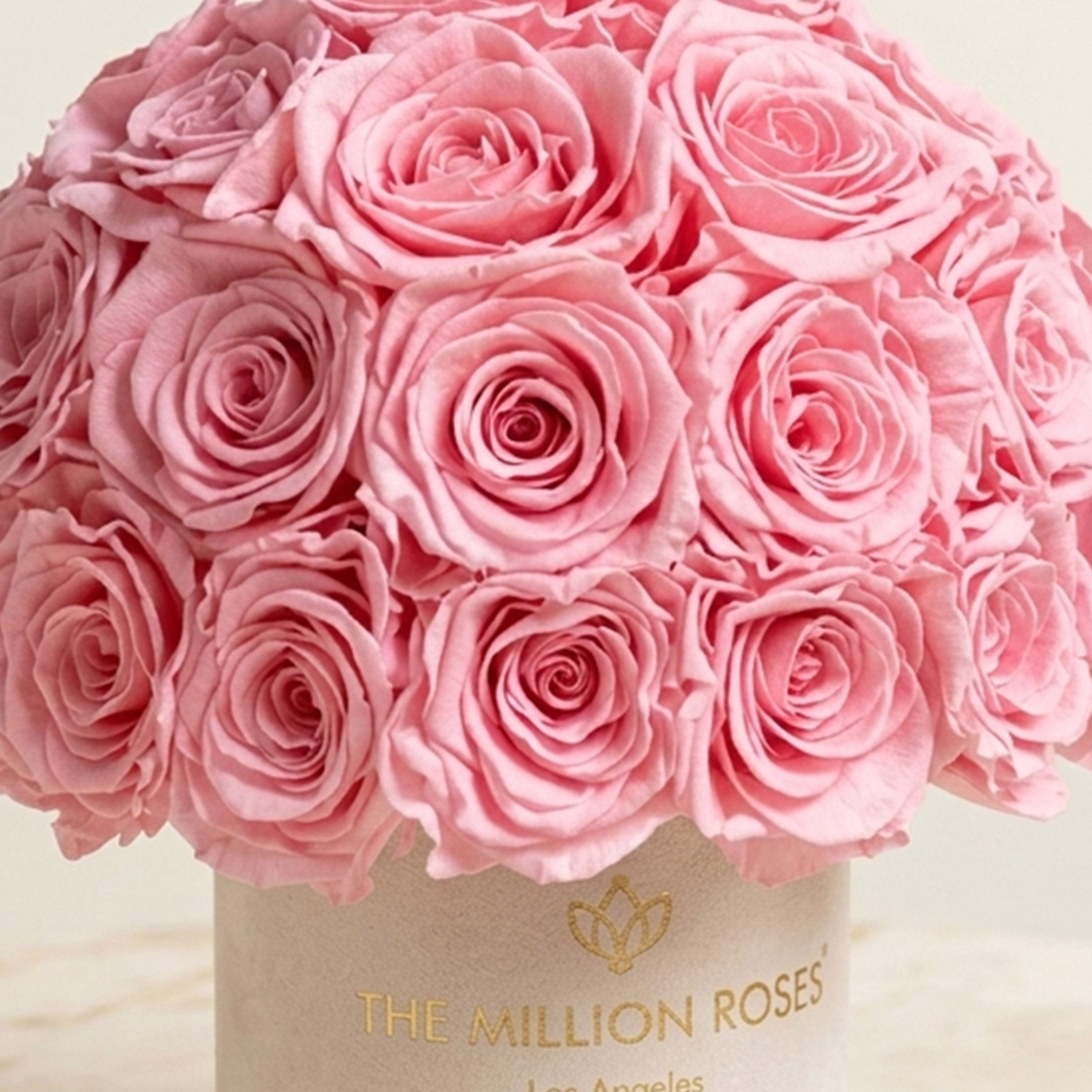 Essence Beige Suede Superdome Box | Light Pink Roses