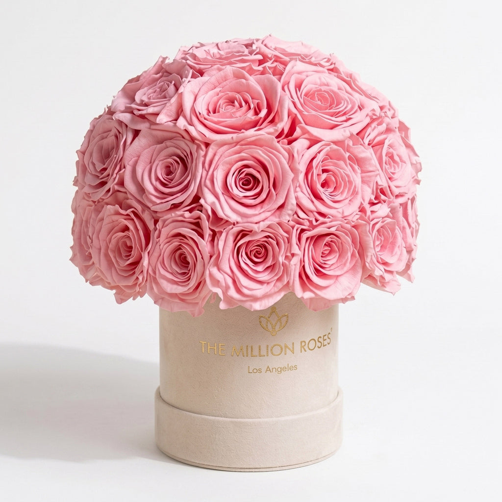 Essence Beige Suede Superdome Box | Light Pink Roses