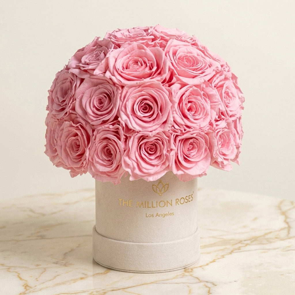 Essence Beige Suede Superdome Box | Light Pink Roses