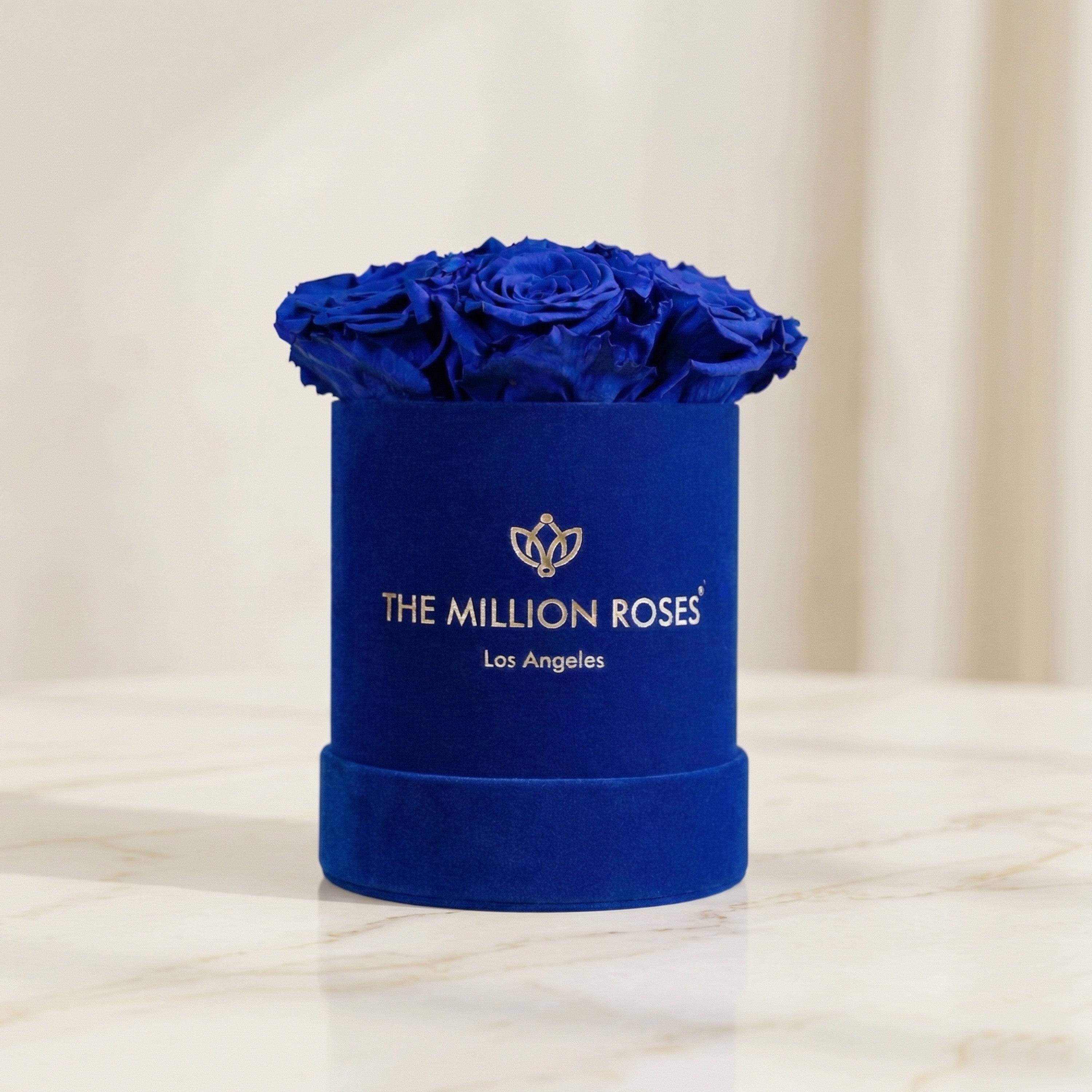 Essence Royal Blue Suede Box | Royal Blue Roses