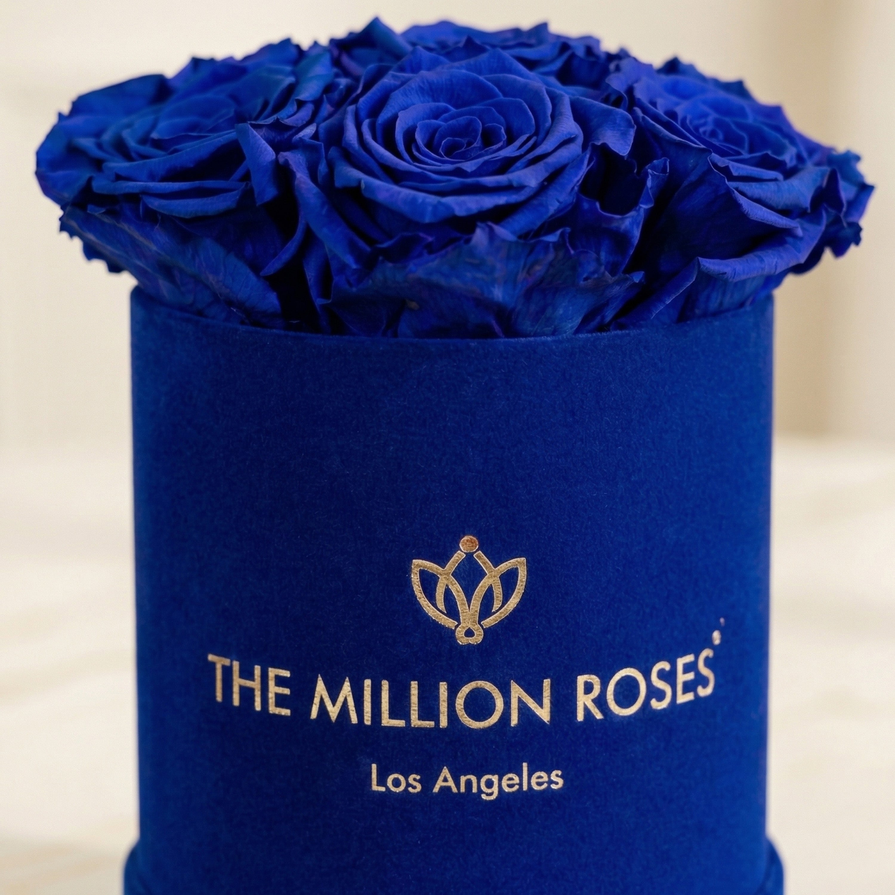 Essence Royal Blue Suede Box | Royal Blue Roses