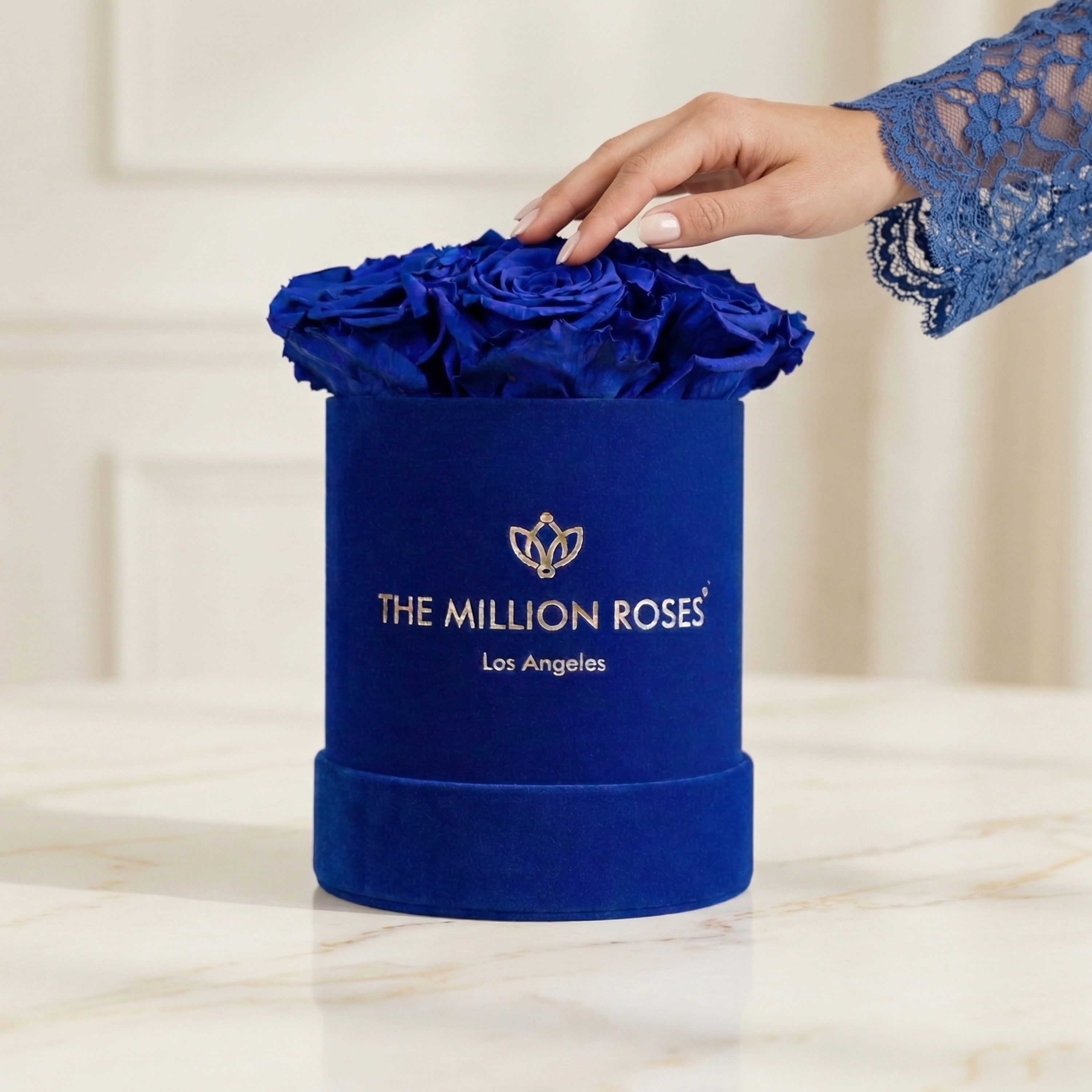 Essence Royal Blue Suede Box | Royal Blue Roses