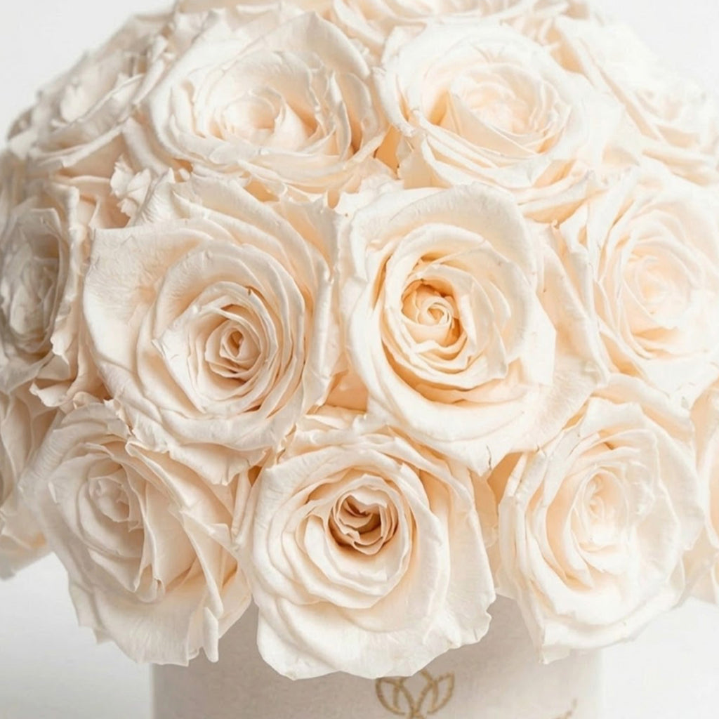 Essence Beige Suede Superdome Box | White Roses