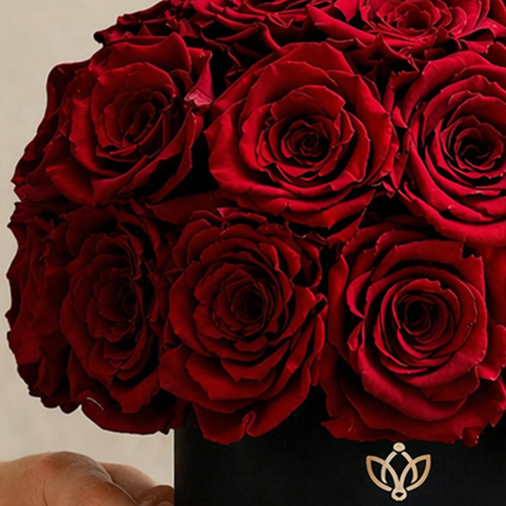 Essence Black Superdome Box | Red Roses