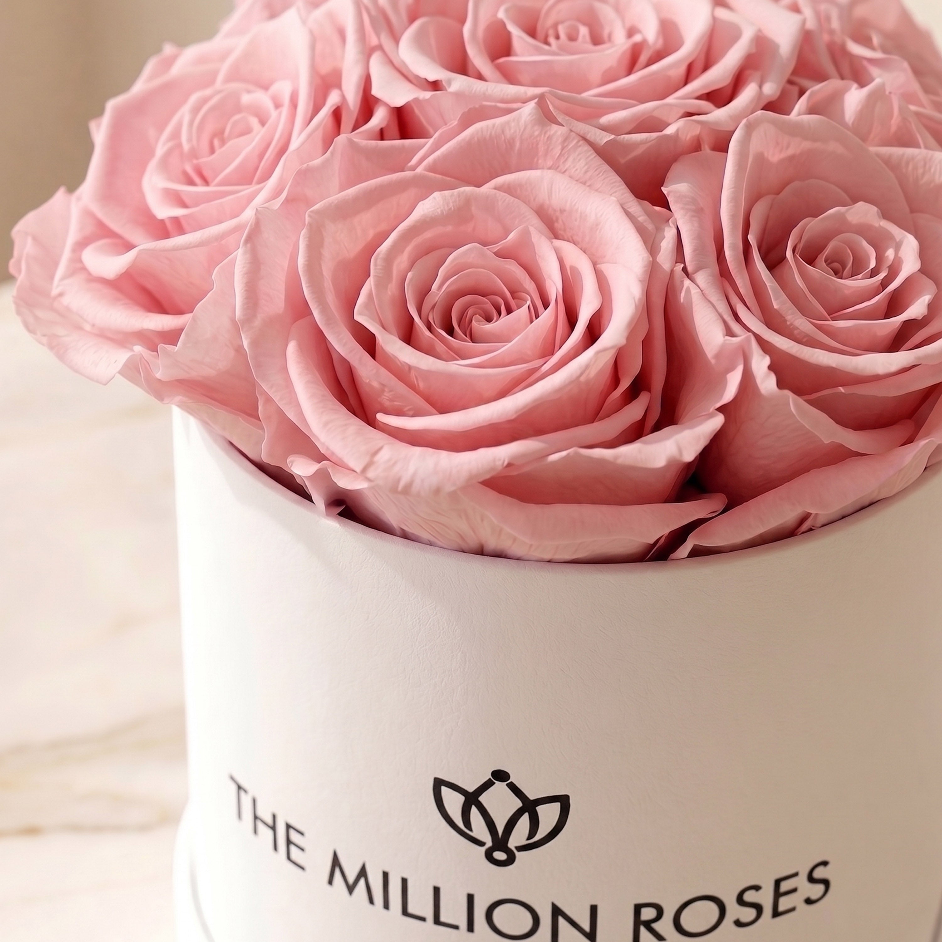 Essence White Box | Light Pink Roses