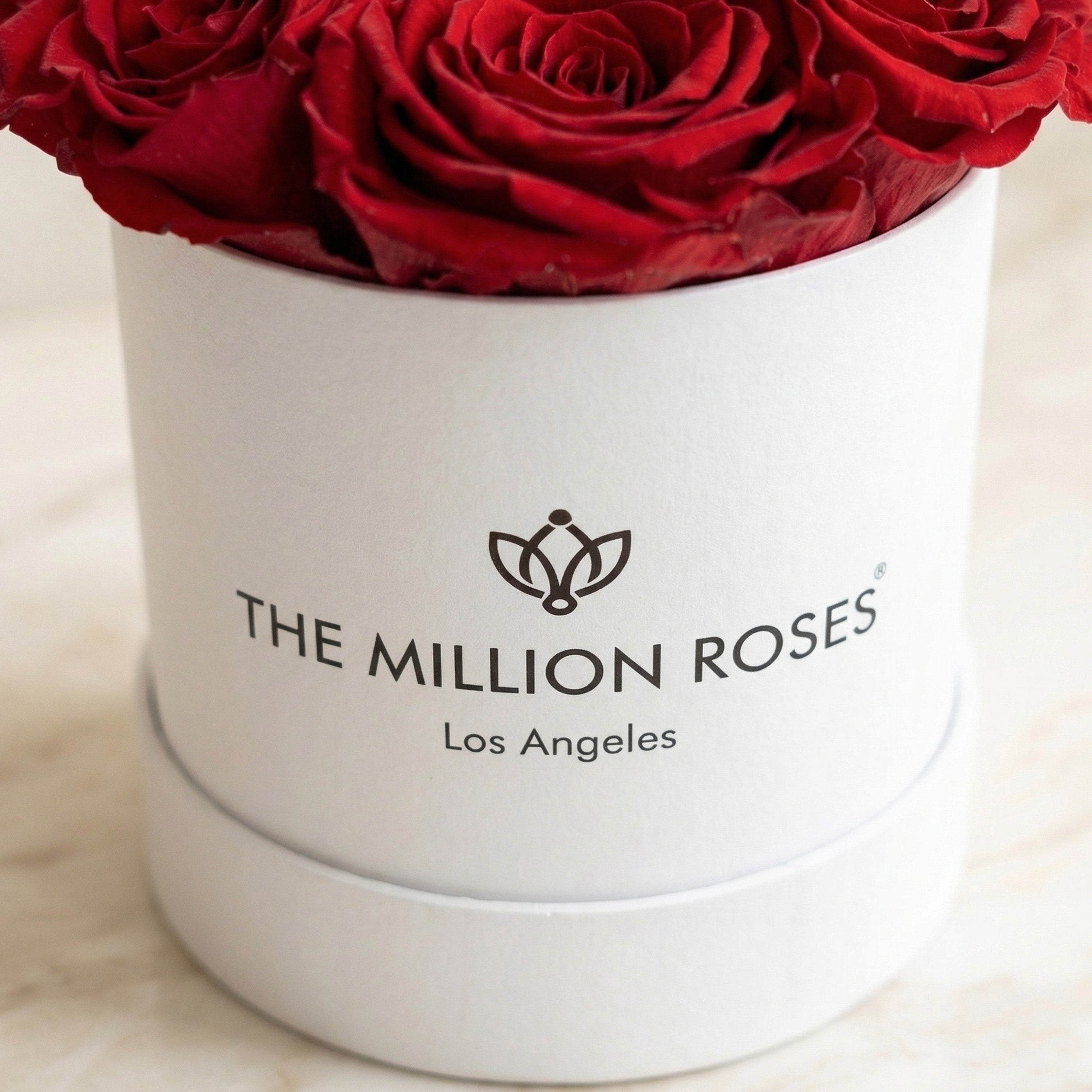 Essence White Box | Red Roses