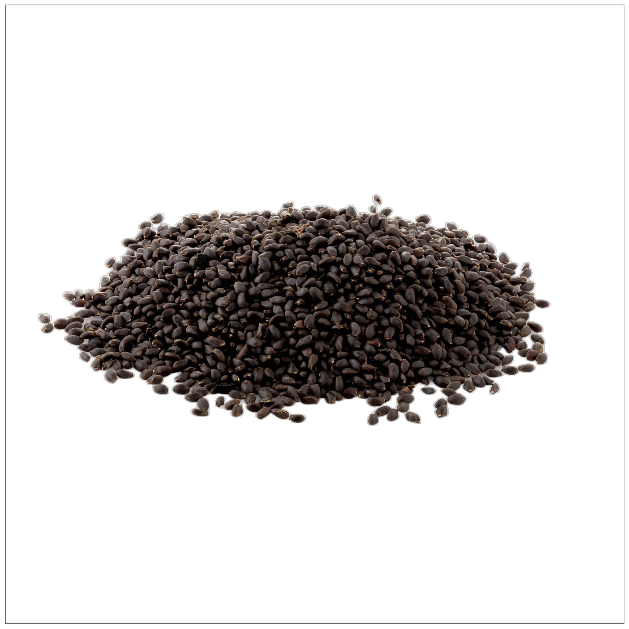 Basil Seeds