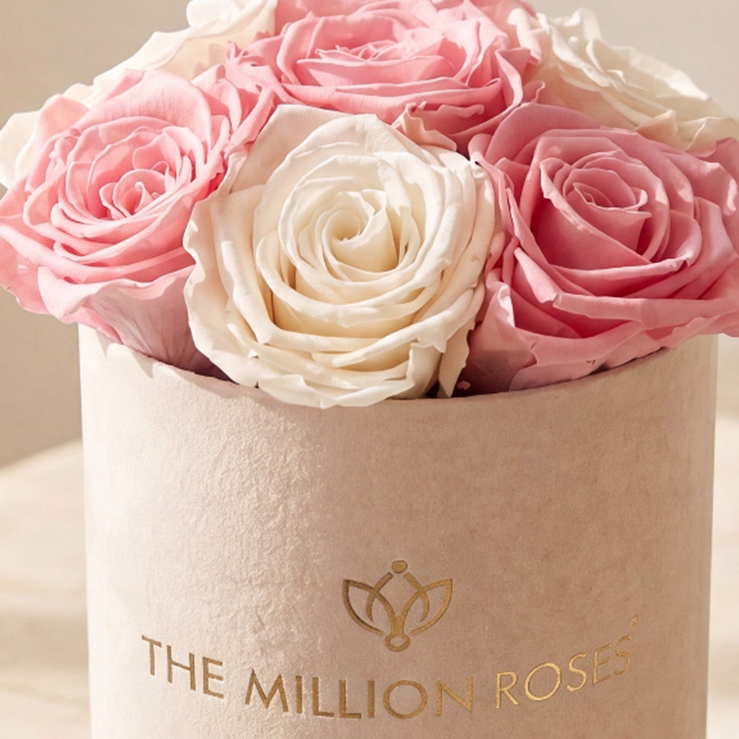 Essence Beige Suede Box | Light Pink & White Roses