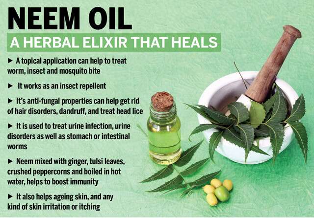 CELLULITE & Stretch Marks ointment with Shea butter,  Tea tree, neem, aloe vera, Gotu kola,