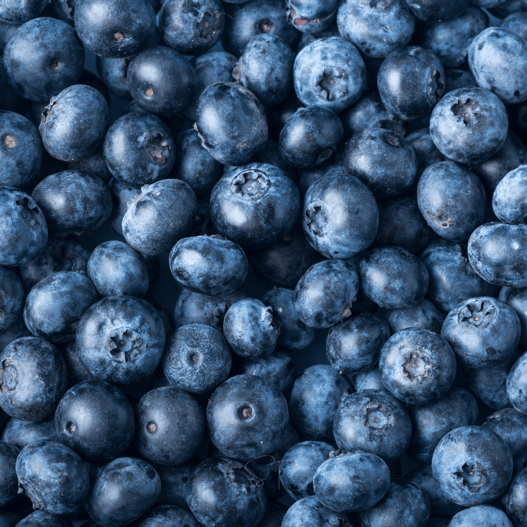 Berry Seed Collection (Elderberry • Blueberry • Strawberry)
