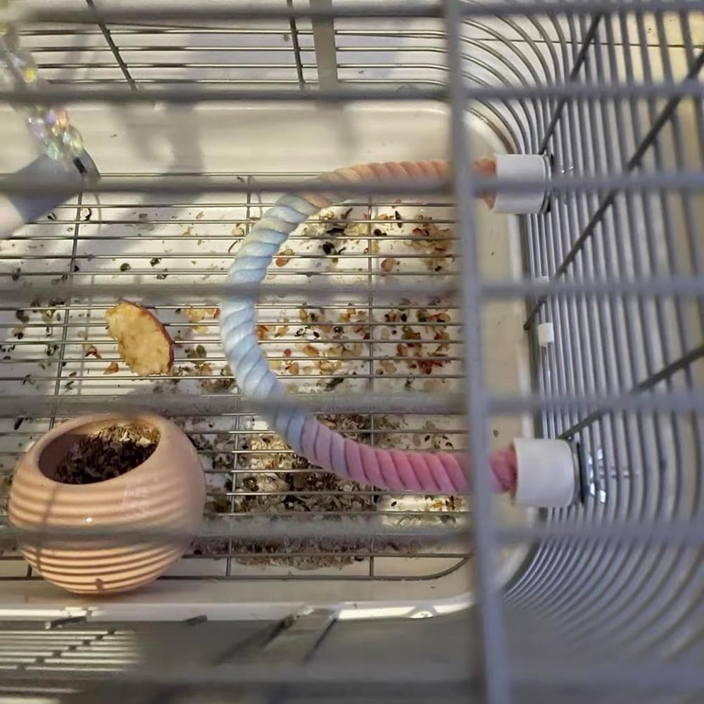 Flexible gradient rainbow rope perch installed inside a bird cage, providing a bendable climbing, balancing, and resting perch for parrots, parakeets, cockatiels, budgies, conures, lovebirds, finches, canaries, and other small pet birds.