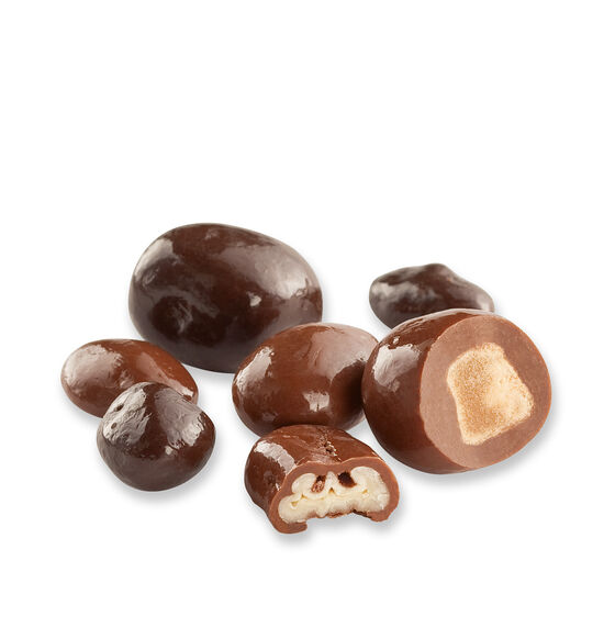 Chocolate Covered Nuts