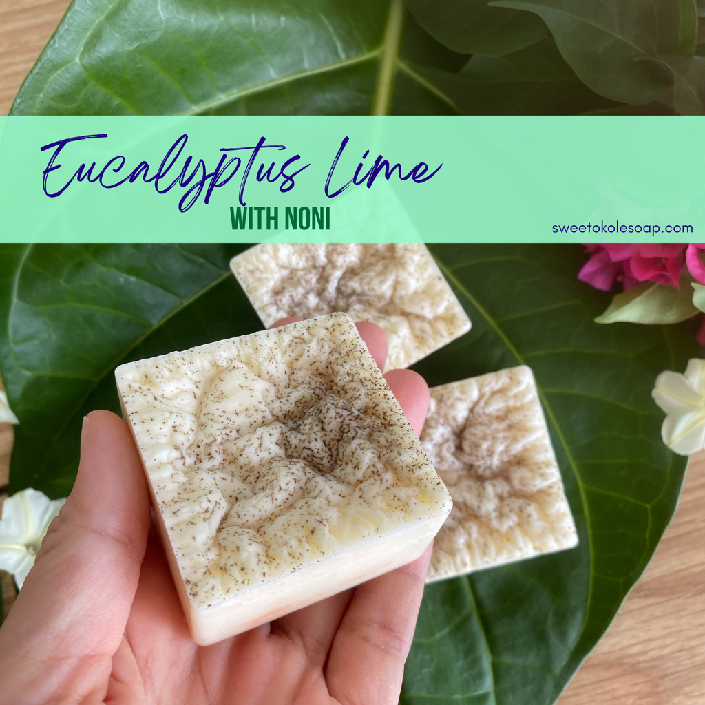 Natural Conditioner Bar - Eucalyptus & Lime Essential Oils with Noni