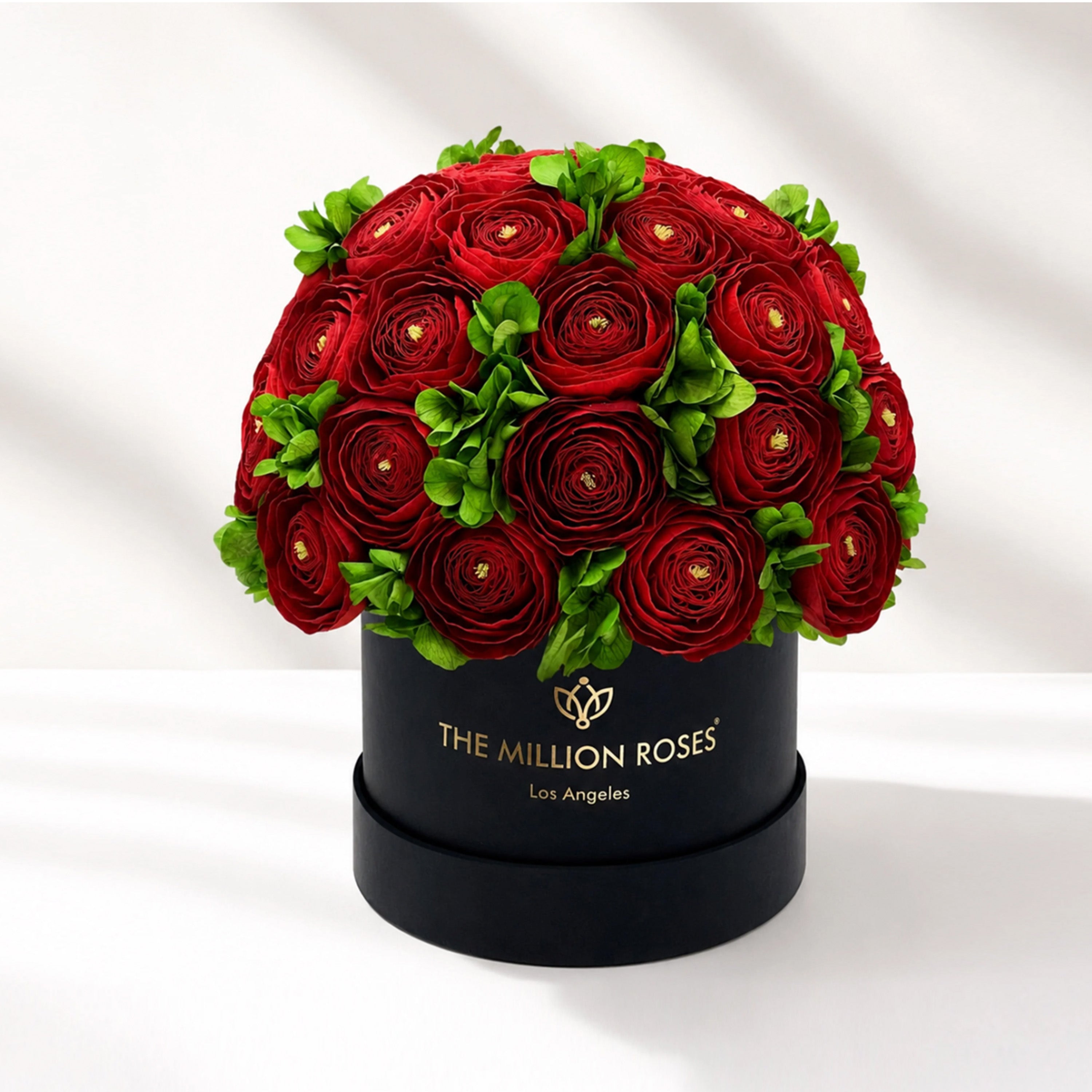 Classic Black Box | Red Persian Buttercups & Green Hydrangeas