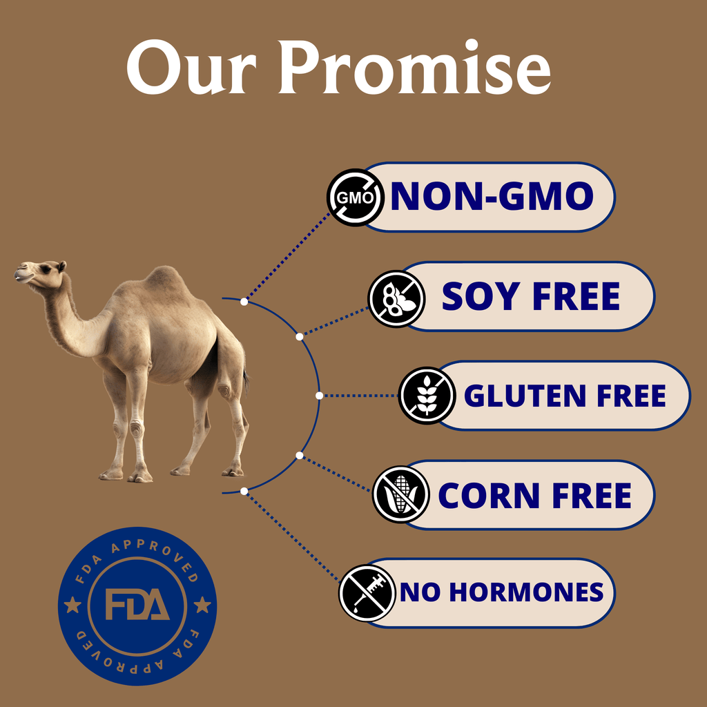 Our Promise graphic featuring a camel silhouette with icons highlighting Non-GMO, Soy Free, Gluten Free, Corn Free, and No Hormones, representing Juba Farms' commitment to clean, high-quality camel milk.