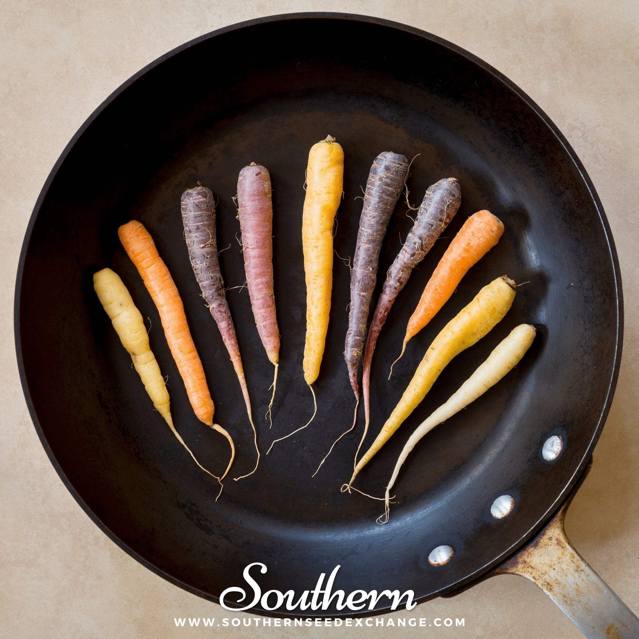 Rainbow Carrot – 100 Seeds