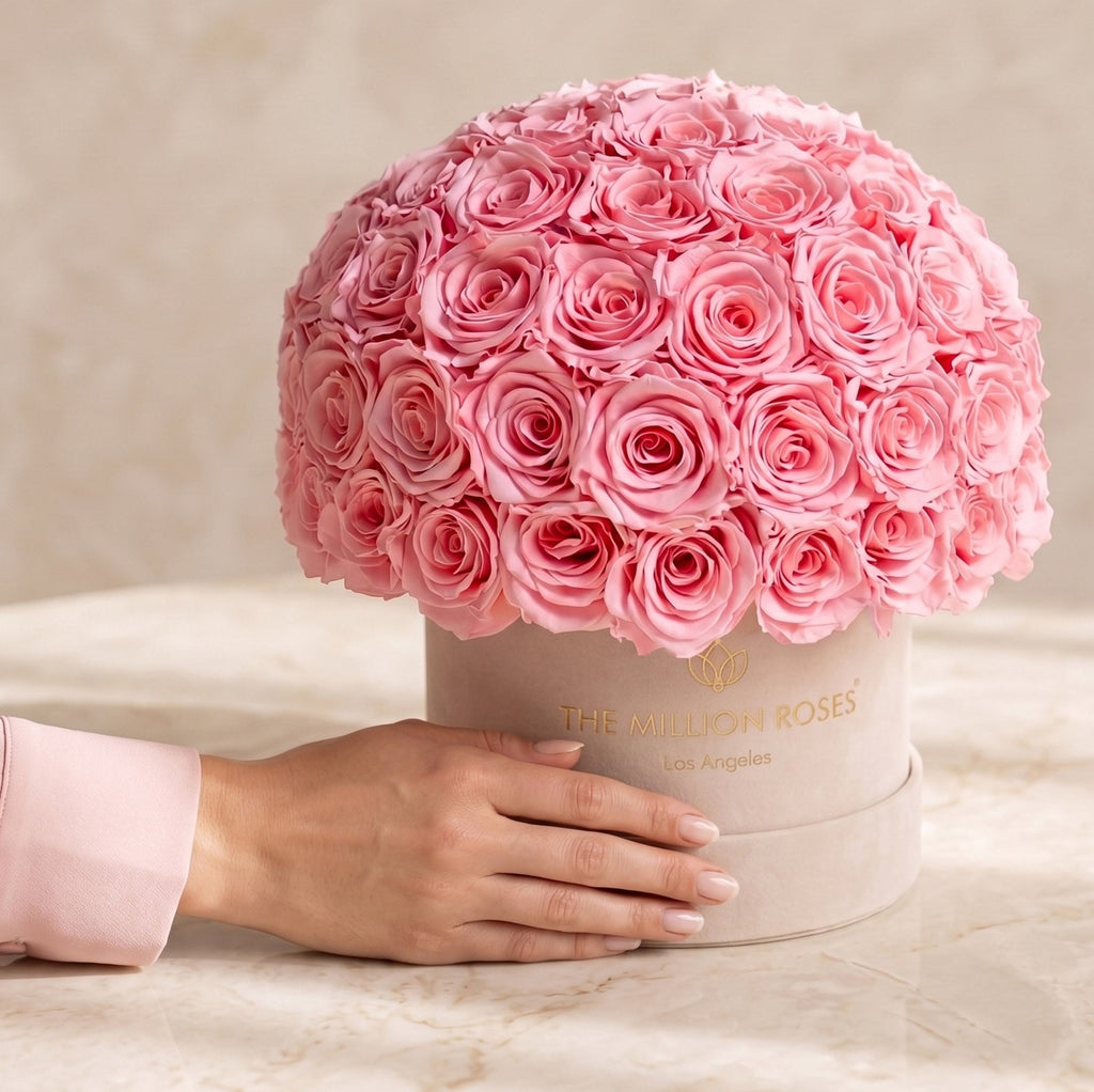 Classic Beige Suede Superdome Box | Light Pink Roses