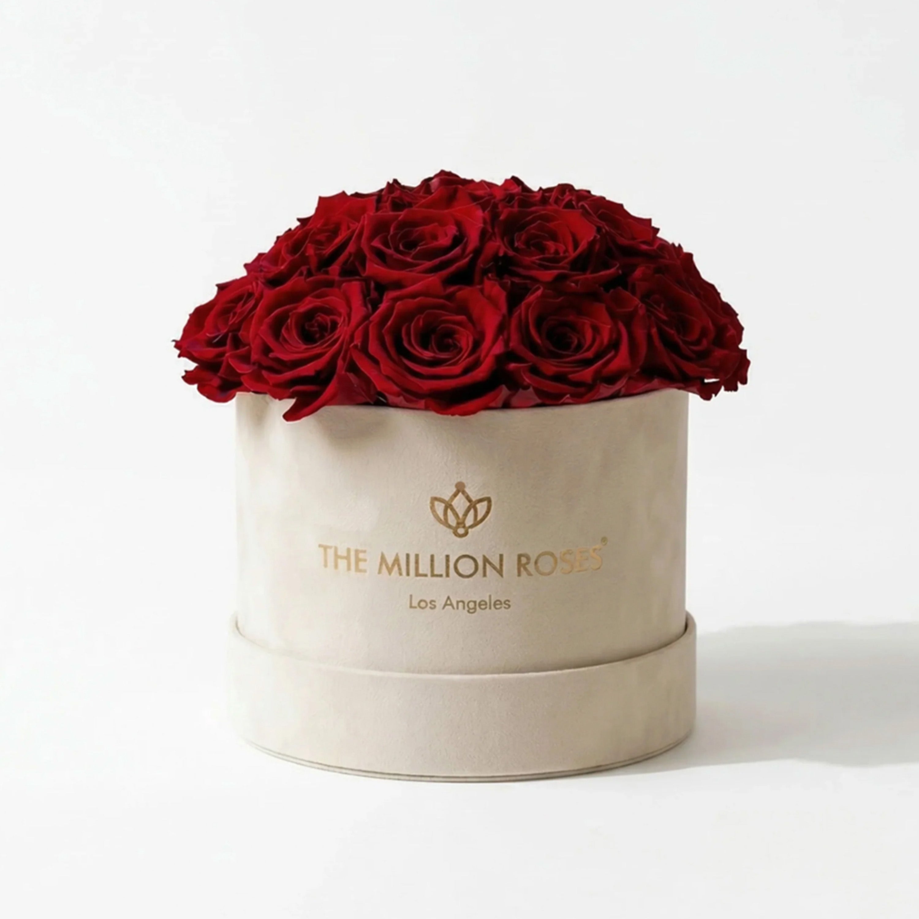 Classic Beige Suede Dome Box | Red Roses