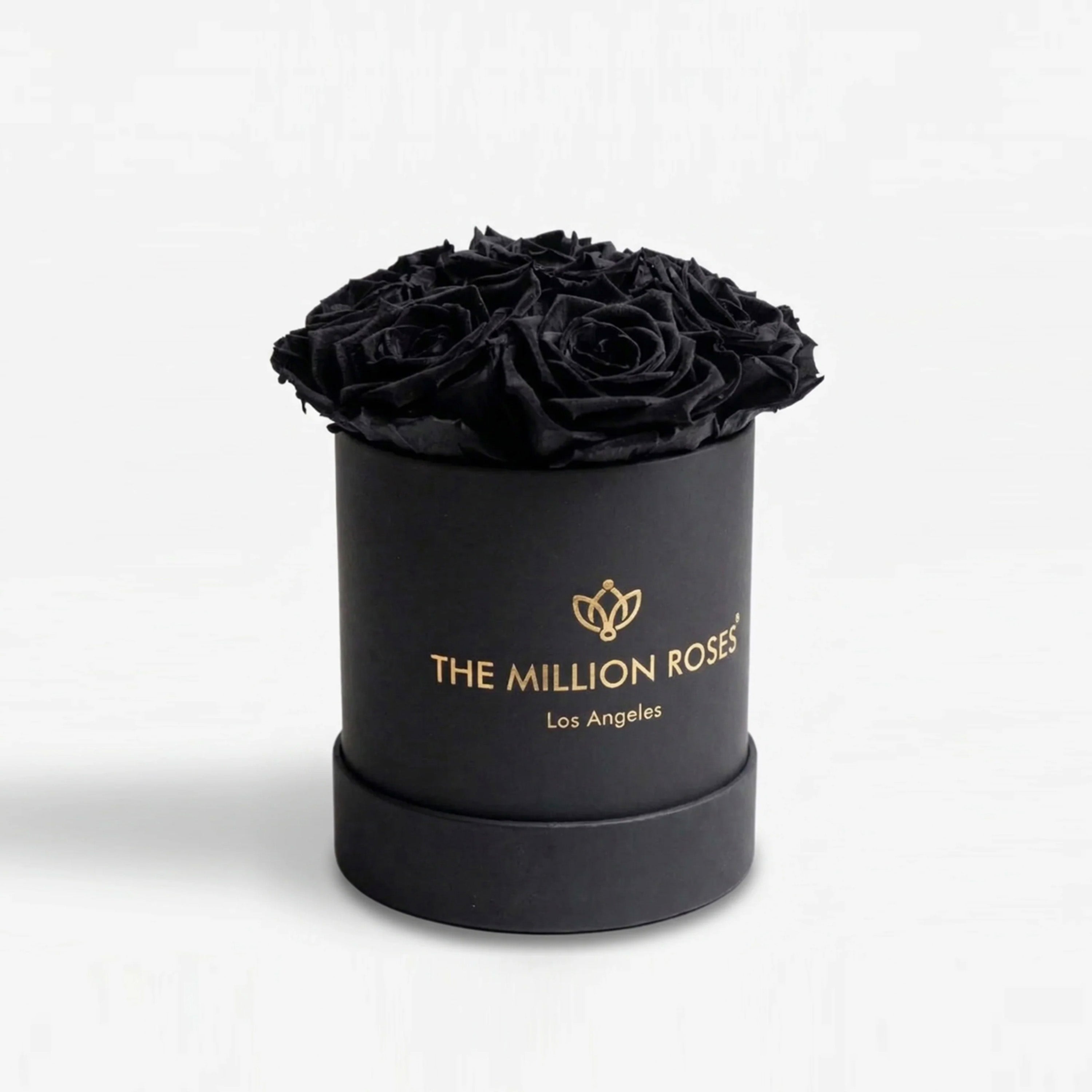 Essence Black Box | Black Roses