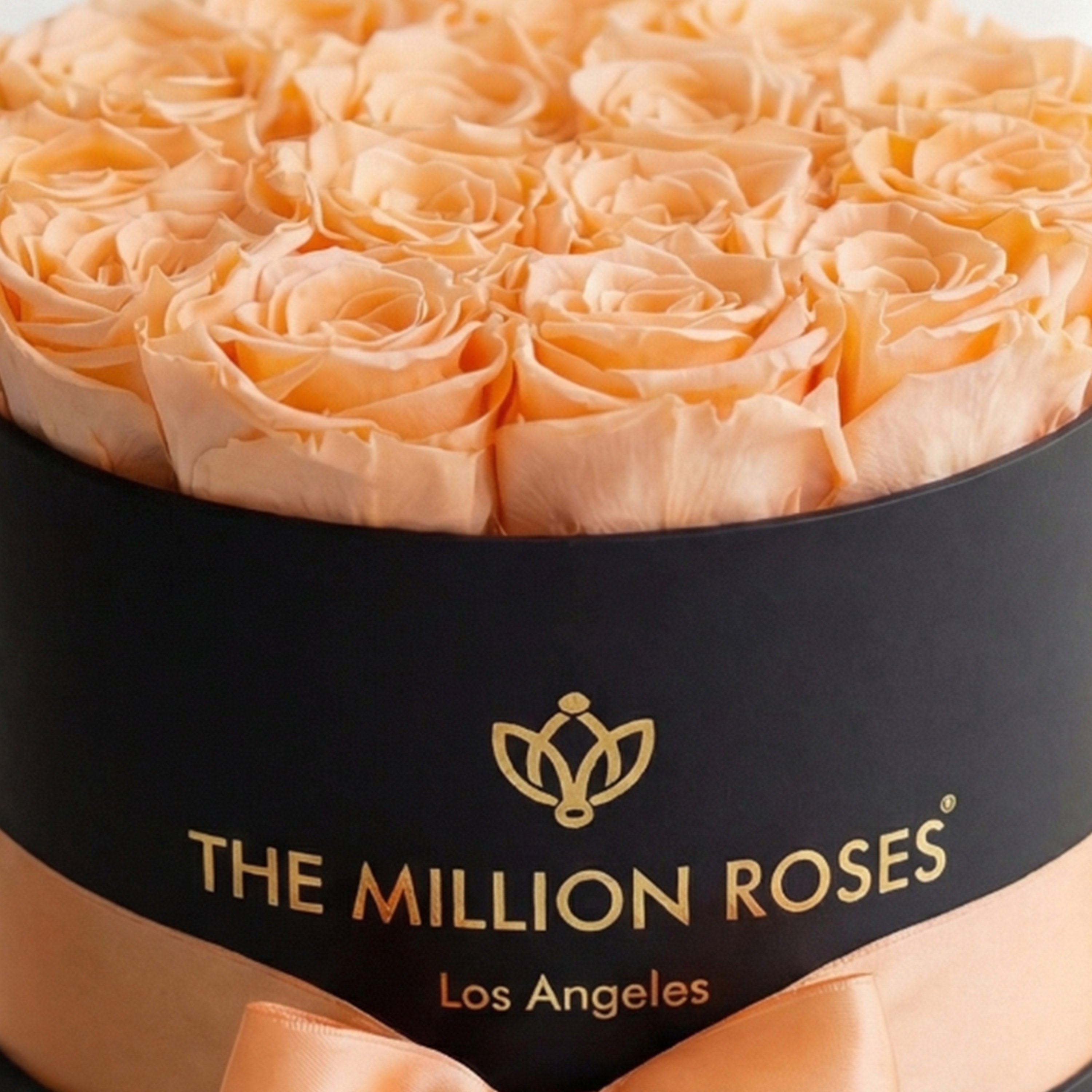 Classic Black Box | Peach Roses