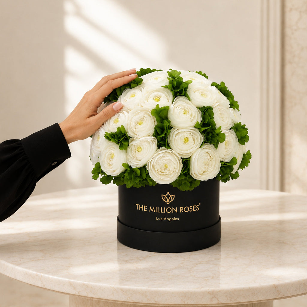 Classic Black Box | White Persian Buttercups & Green Hydrangeas